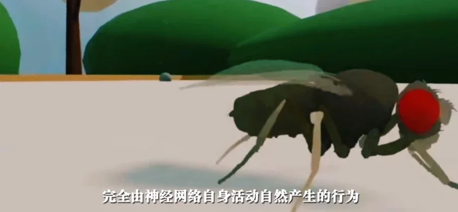 renzaoguoying.webp